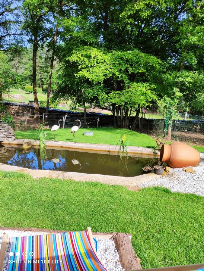 Chez Pascaline Bed & Breakfast Sarliac-sur-l'Isle Exterior foto